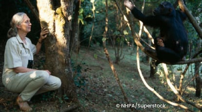 Womens-History-Jane-Goodall-0226
